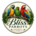 bliss parrots