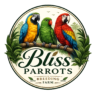 bliss parrots